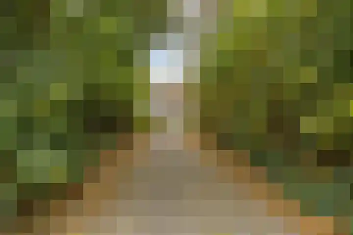 Laan van de Iemenhees 574 Emmen thumbnail 62