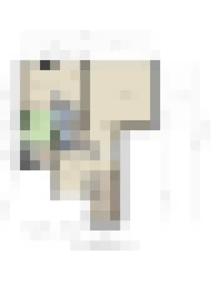 Laan van de Iemenhees 574 Emmen thumbnail 63