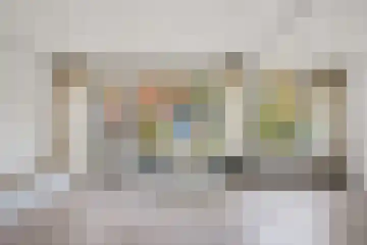 Laan van de Iemenhees 6 Emmen thumbnail 15