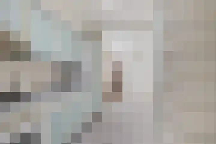 Laan van de Iemenhees 6 Emmen thumbnail 18