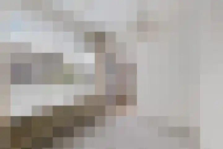 Laan van de Iemenhees 6 Emmen thumbnail 20