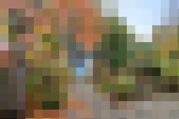 Laan van de Iemenhees 6 Emmen thumbnail 23