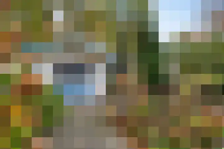 Laan van de Iemenhees 6 Emmen thumbnail 24