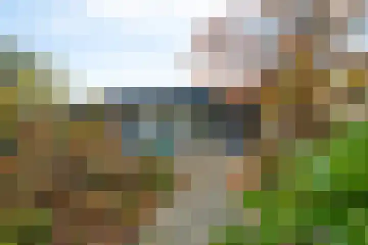 Laan van de Iemenhees 6 Emmen thumbnail 25