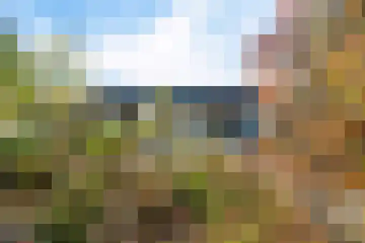 Laan van de Iemenhees 6 Emmen thumbnail 26
