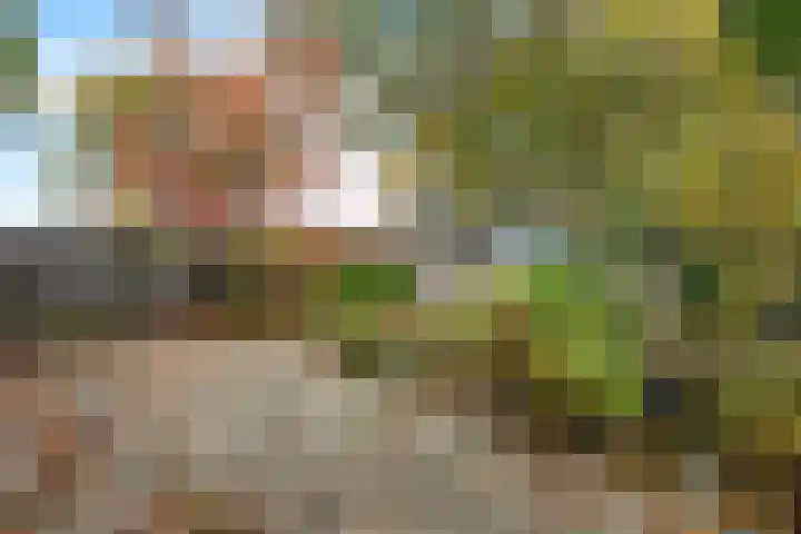 Laan van de Iemenhees 6 Emmen thumbnail 27