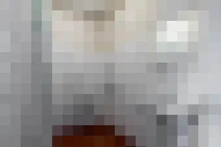 Laan van de Iemenhees 74 Emmen thumbnail 17