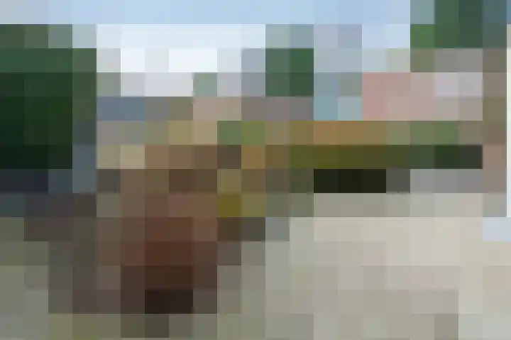 Laan van de Iemenhees 74 Emmen thumbnail 19