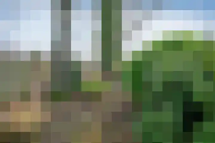 Laan van de Iemenhees 74 Emmen thumbnail 21