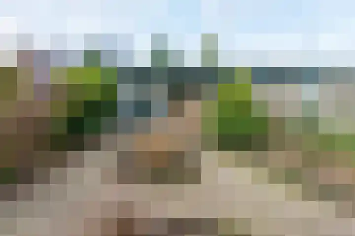 Laan van de Iemenhees 74 Emmen thumbnail 22