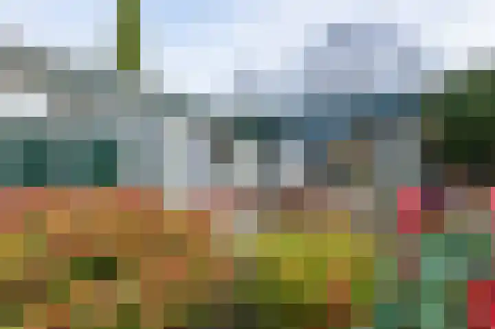 Laan van de Iemenhees 74 Emmen thumbnail 25