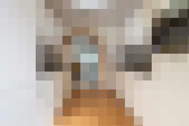 Laan van de Iemenhees 8 Emmen thumbnail 11