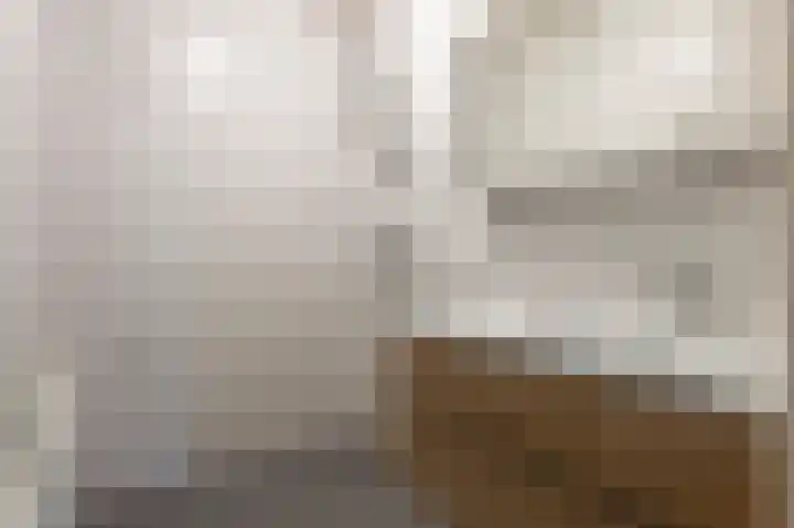 Laan van de Iemenhees 8 Emmen thumbnail 17