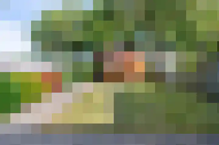 Laan van de Iemenhees 8 Emmen thumbnail 21