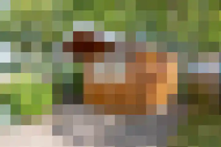 Laan van de Iemenhees 8 Emmen thumbnail 22