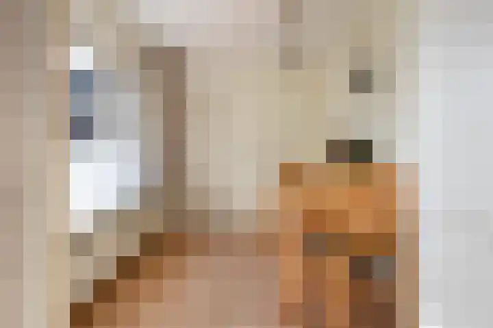 Laan van de Iemenhees 8 Emmen thumbnail 9
