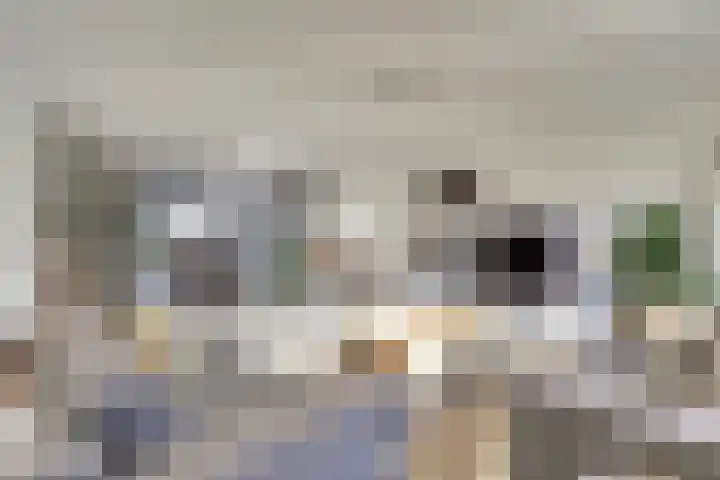 Laan van de Leeuw 120 Apeldoorn thumbnail 11