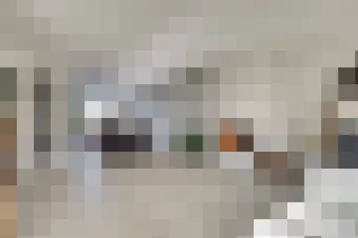 Laan van de Leeuw 120 Apeldoorn thumbnail 12