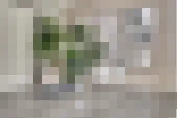 Laan van de Leeuw 120 Apeldoorn thumbnail 18