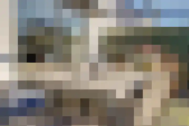 Laan van de Leeuw 120 Apeldoorn thumbnail 38