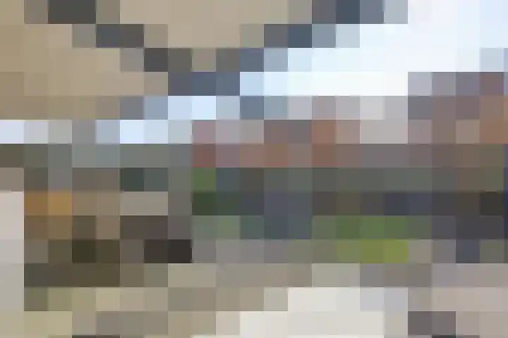 Laan van de Leeuw 120 Apeldoorn thumbnail 39