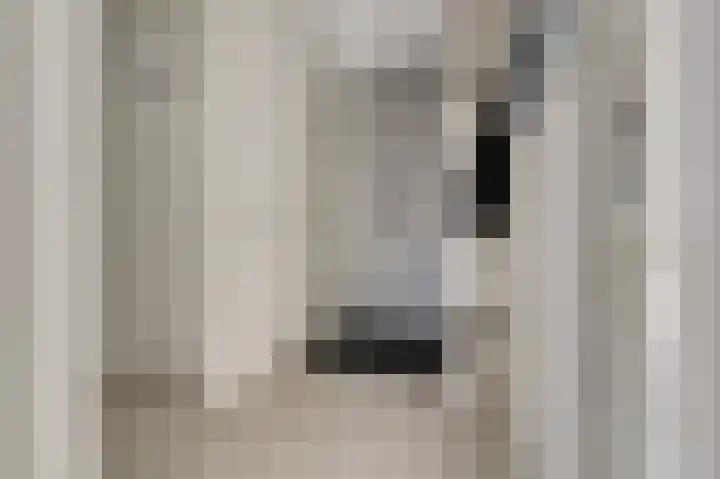 Laan van de Leeuw 120 Apeldoorn thumbnail 5