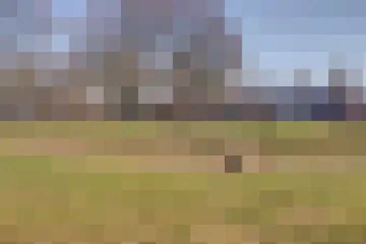 Laan van de Leeuw 120 Apeldoorn thumbnail 51