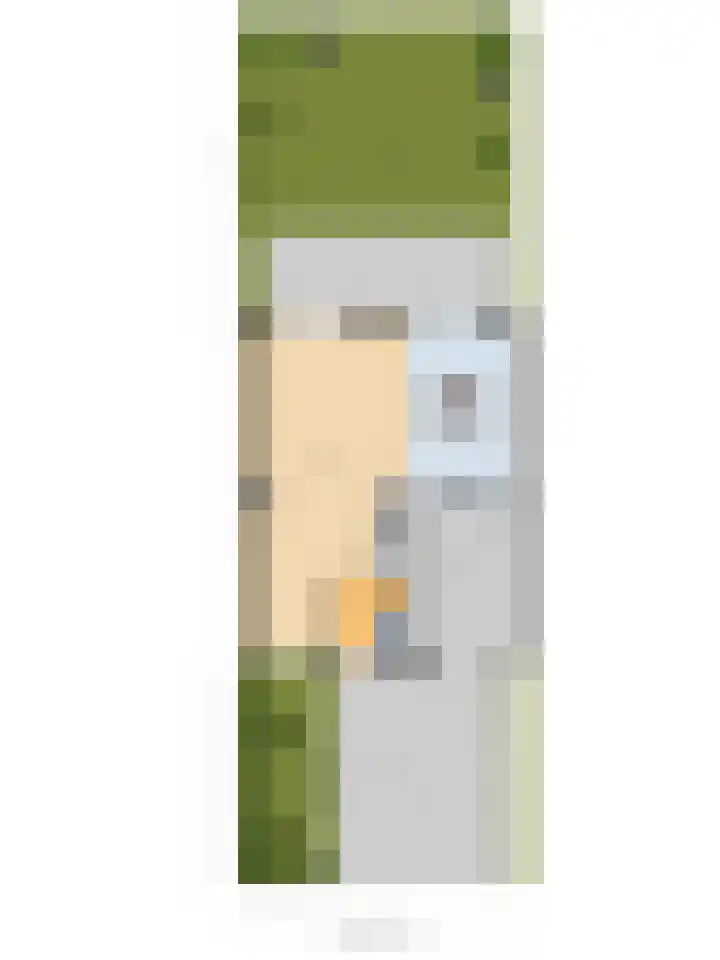 Laan van de Leeuw 120 Apeldoorn thumbnail 60