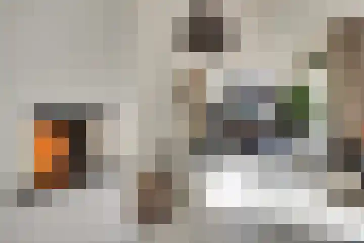 Laan van de Leeuw 120 Apeldoorn thumbnail 8