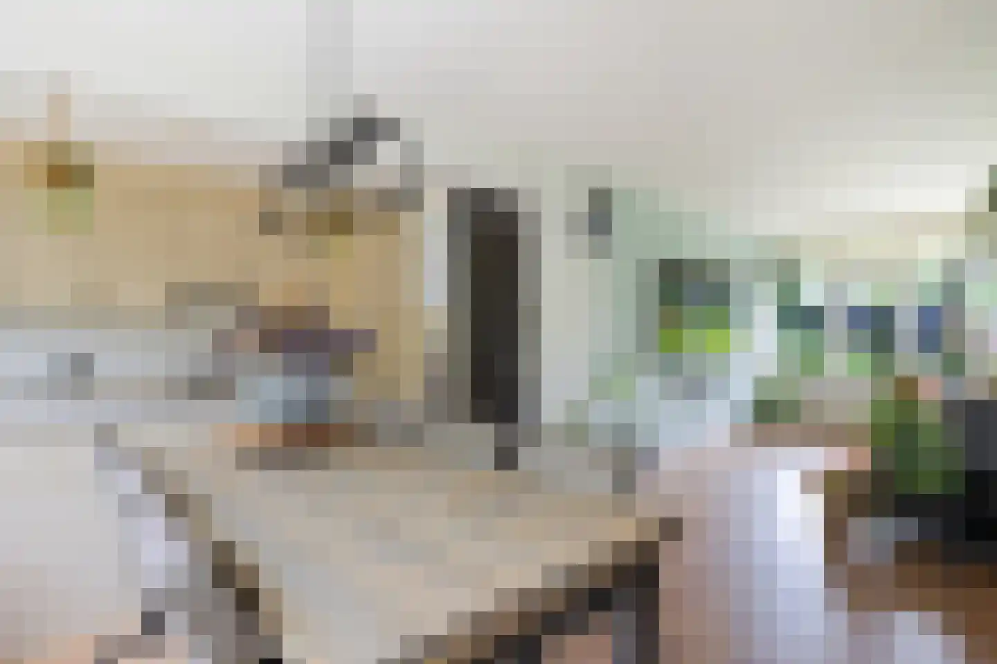 Laan van de Marel 126 Emmen thumbnail 12