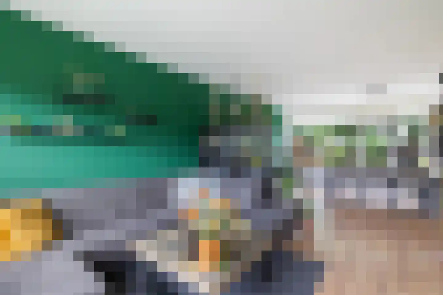 Laan van de Marel 126 Emmen thumbnail 14