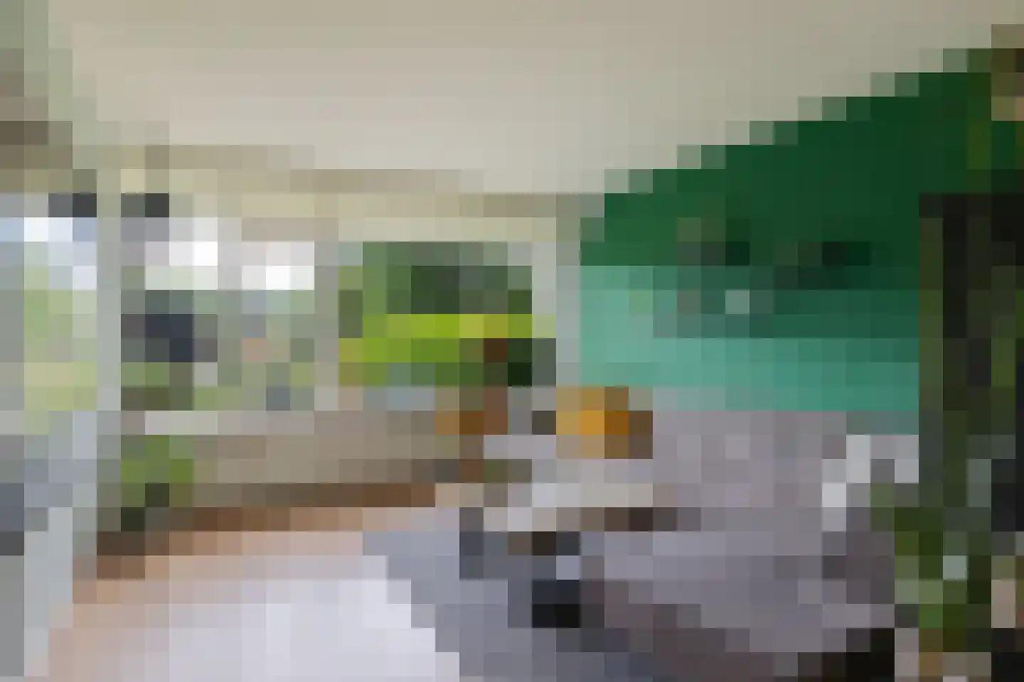 Laan van de Marel 126 Emmen thumbnail 15