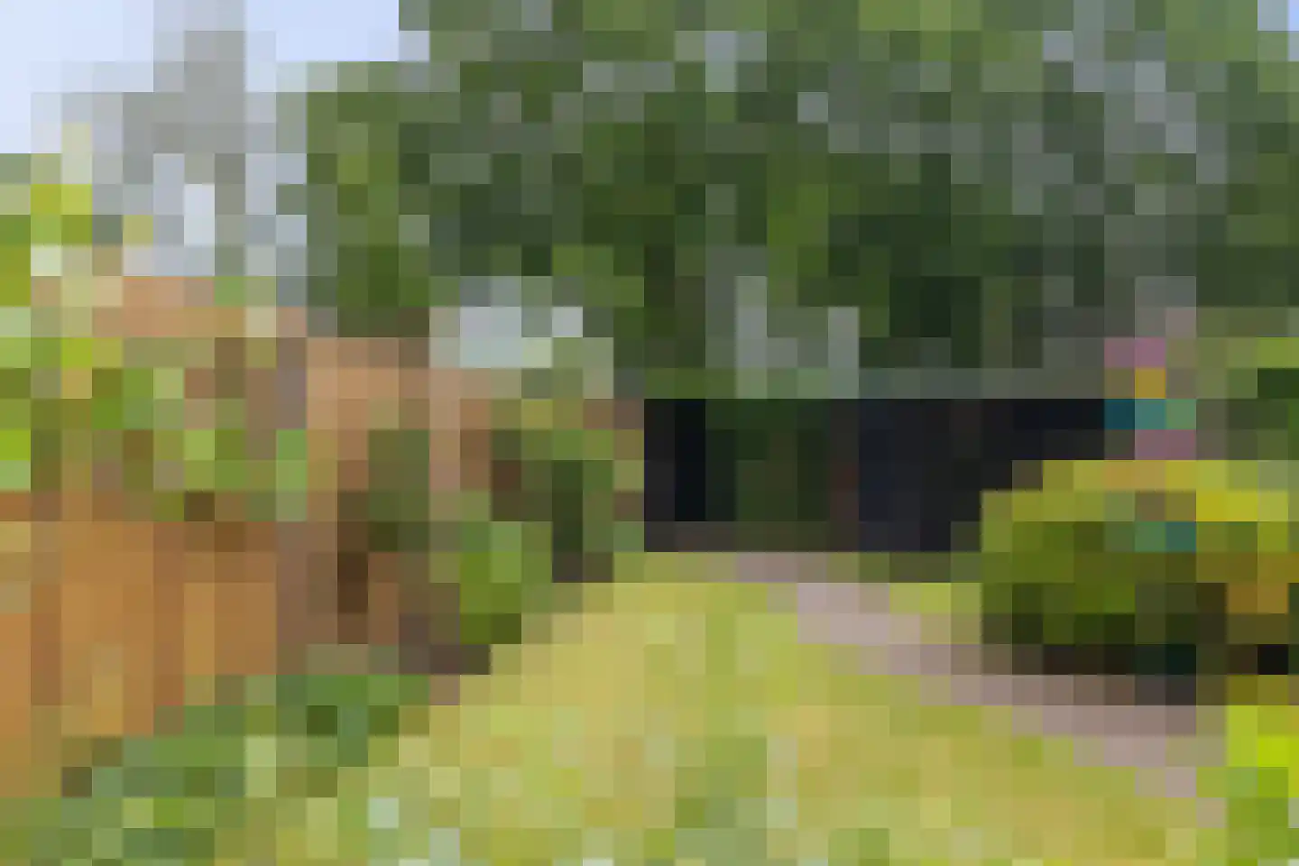 Laan van de Marel 126 Emmen thumbnail 18