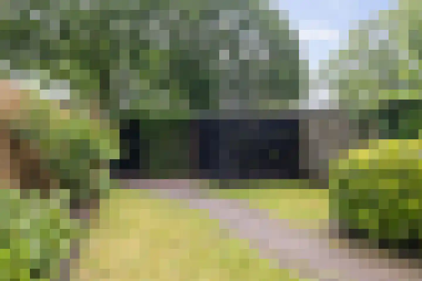 Laan van de Marel 126 Emmen thumbnail 19