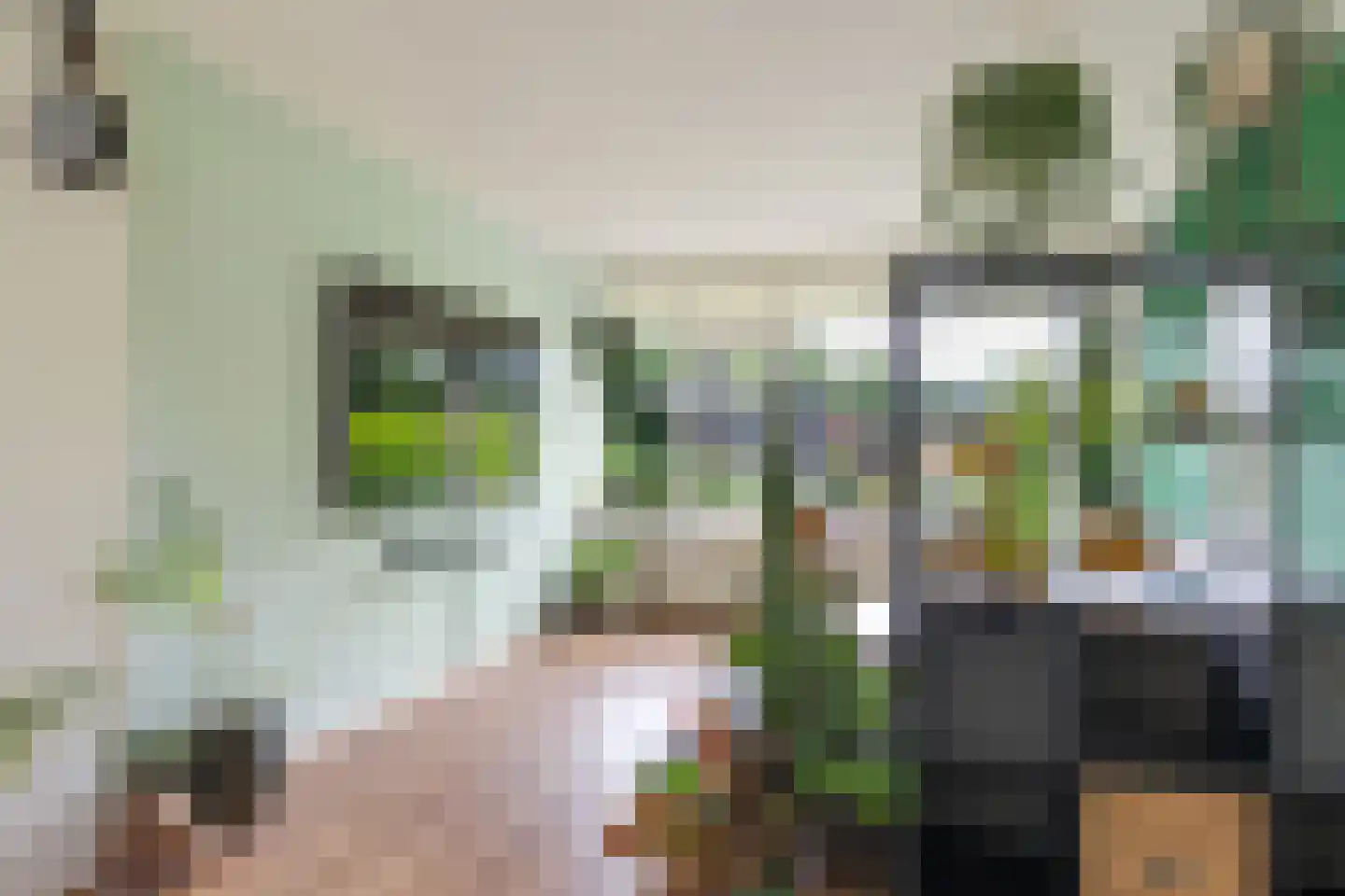Laan van de Marel 126 Emmen thumbnail 21