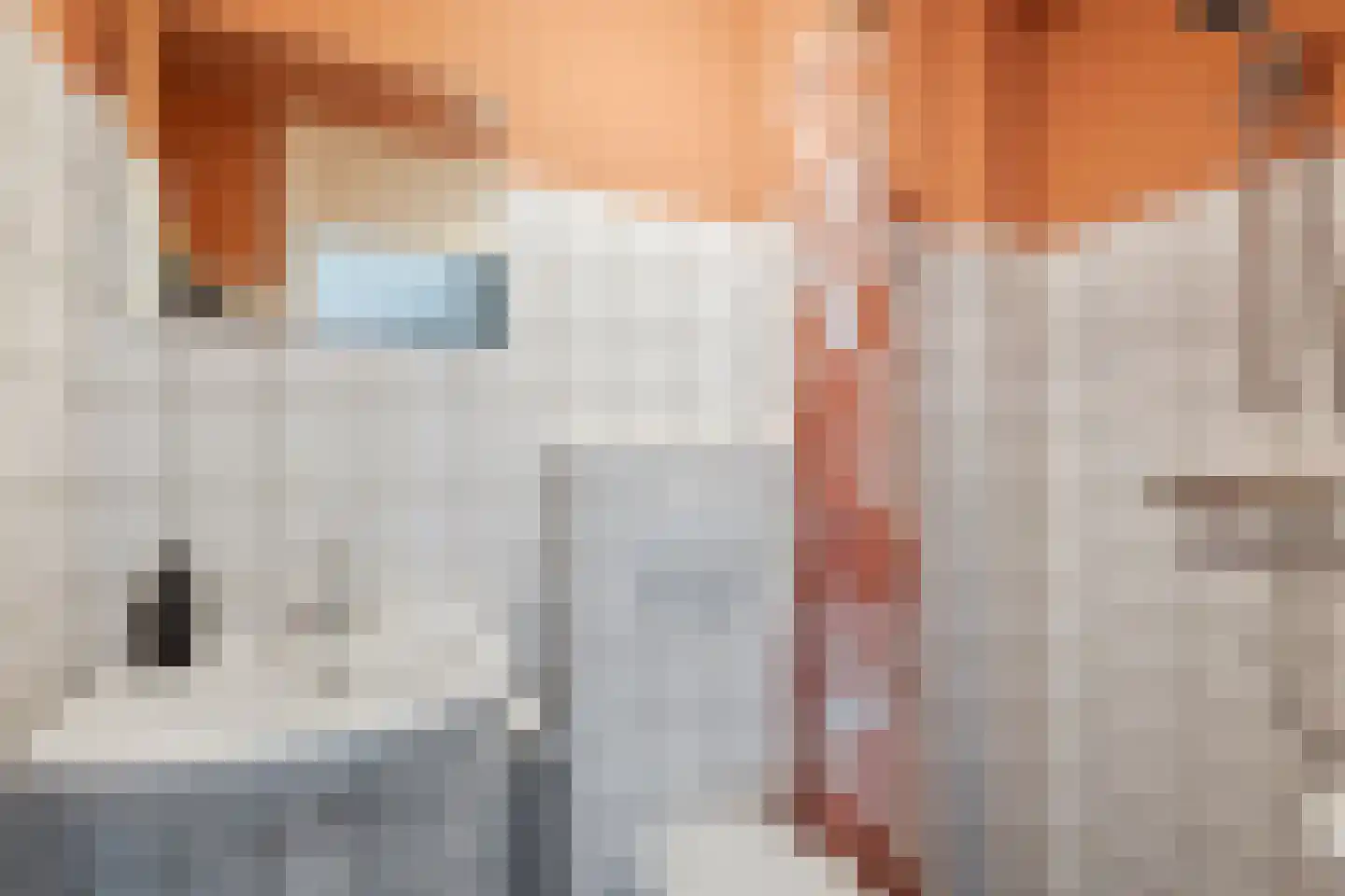 Laan van de Marel 126 Emmen thumbnail 30