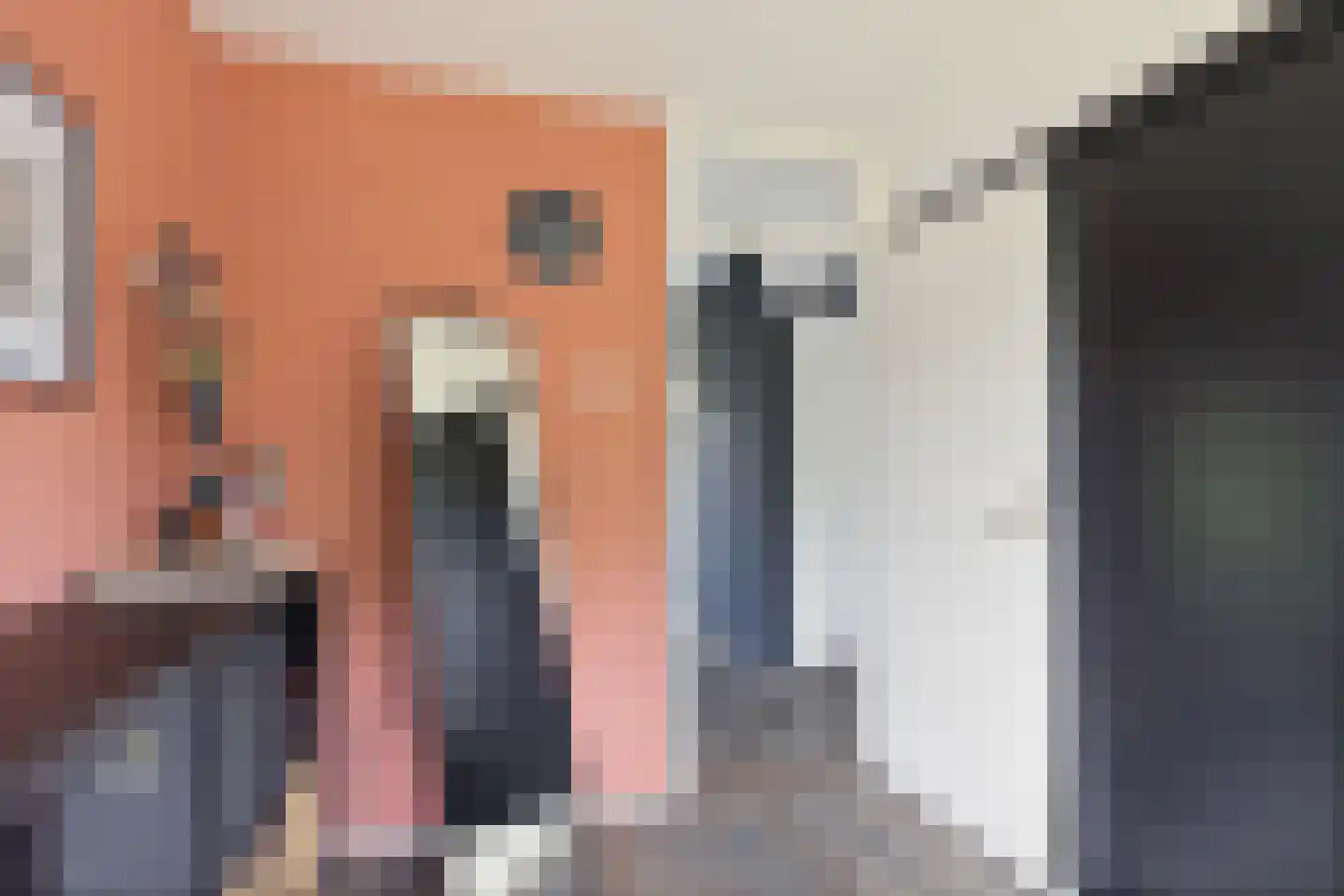 Laan van de Marel 126 Emmen thumbnail 35