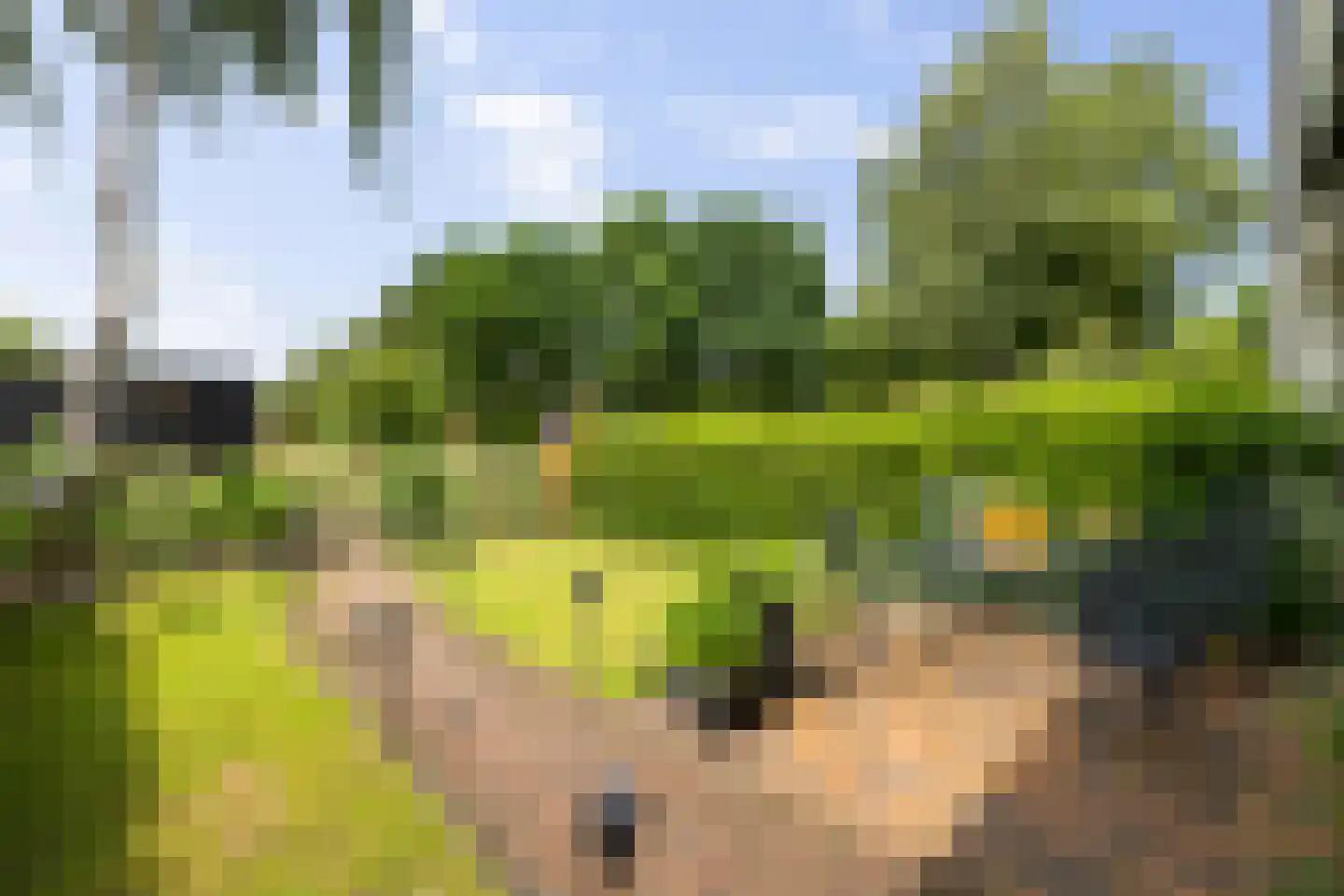 Laan van de Marel 126 Emmen thumbnail 6