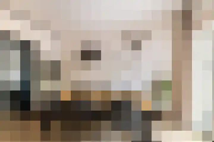 Laan van de Marel 144 Emmen thumbnail 12