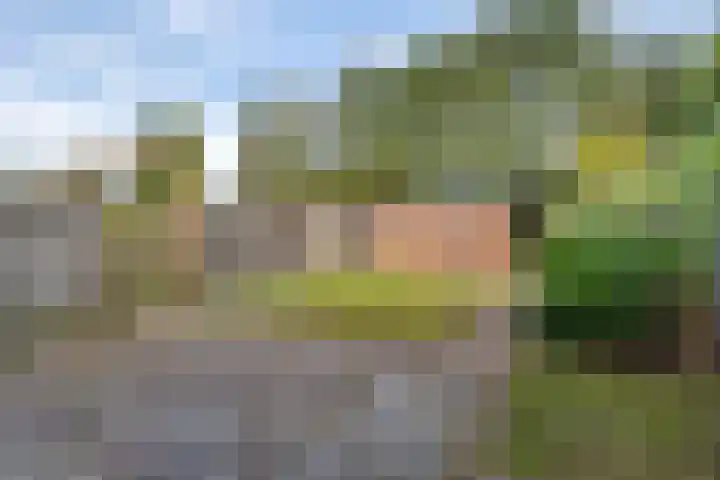 Laan van de Marel 144 Emmen thumbnail 19