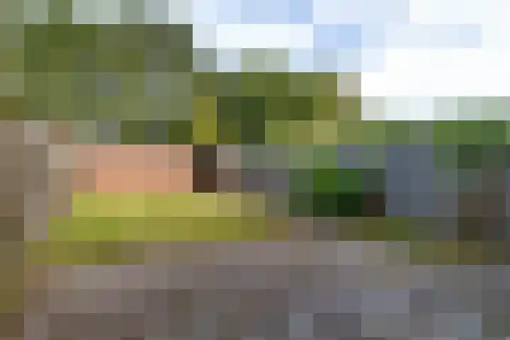 Laan van de Marel 144 Emmen thumbnail 20