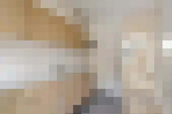 Laan van de Marel 144 Emmen thumbnail 8