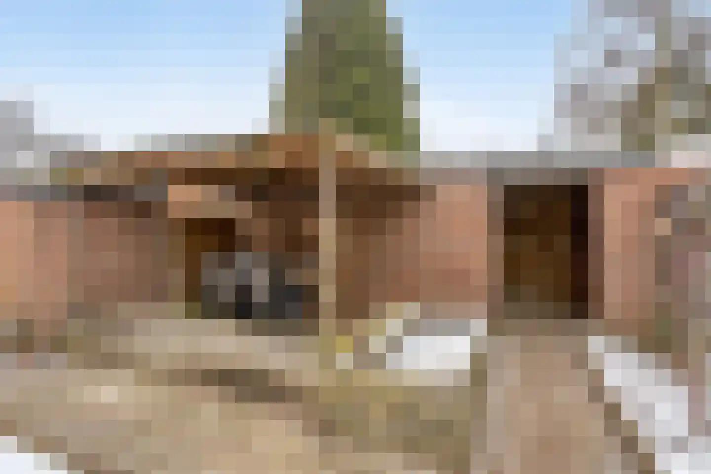 Laan van de Marel 152 Emmen thumbnail 32