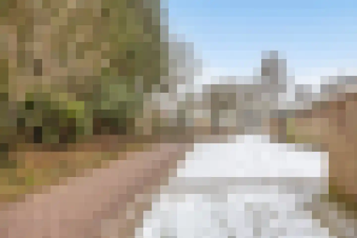 Laan van de Marel 152 Emmen thumbnail 33