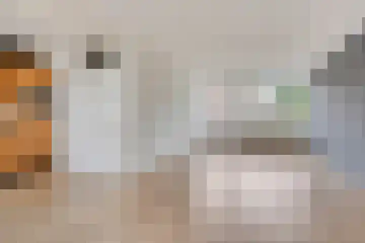 Laan van de Marel 234 Emmen thumbnail 10
