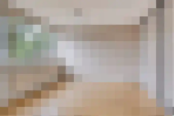 Laan van de Marel 234 Emmen thumbnail 14
