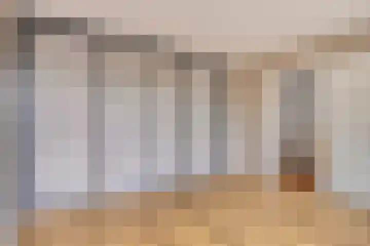 Laan van de Marel 234 Emmen thumbnail 15