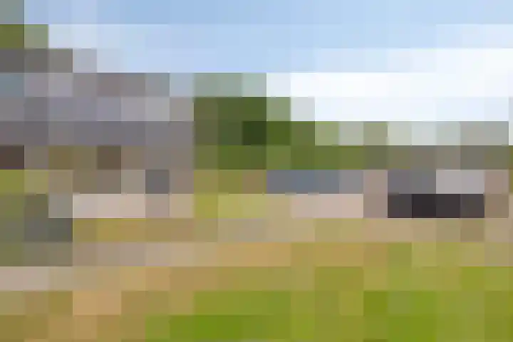 Laan van de Marel 234 Emmen thumbnail 22