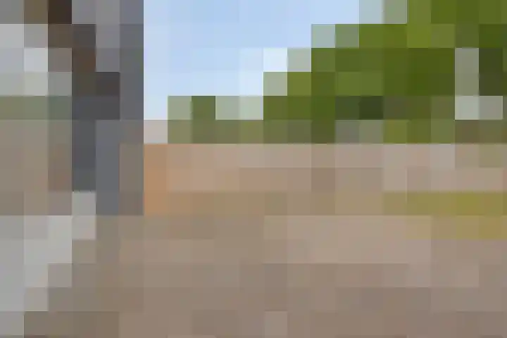 Laan van de Marel 234 Emmen thumbnail 23