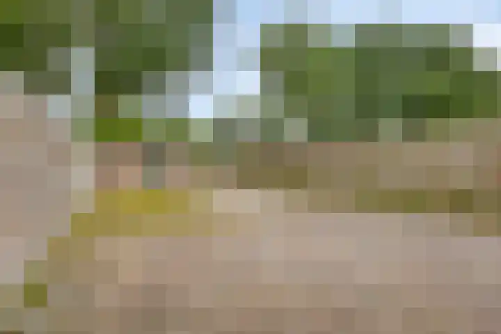 Laan van de Marel 234 Emmen thumbnail 24